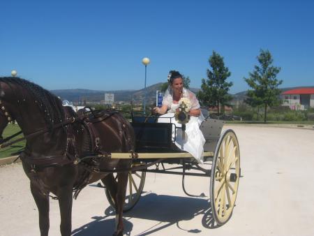 casamento Claudia e Bjorg